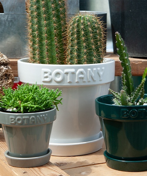 BOTANY POT/6号 植木鉢（フラワーベース）｜DULTON（ダルトン