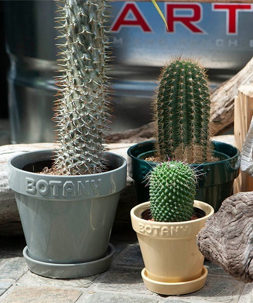 BOTANY POT/6号 植木鉢（フラワーベース）｜DULTON（ダルトン