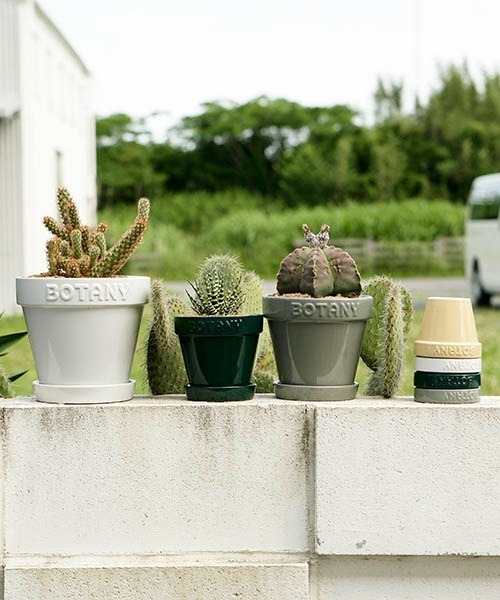 BOTANY POT/6号 植木鉢（フラワーベース）｜DULTON（ダルトン