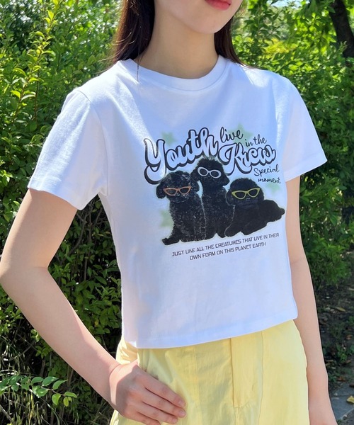 ALAND（エーランド）の「YOUTHKREW／CALLI DOGGY T 2970880（Tシャツ/カットソー・レディース・ホワイト/ブラック・FREE）」の15枚目の写真