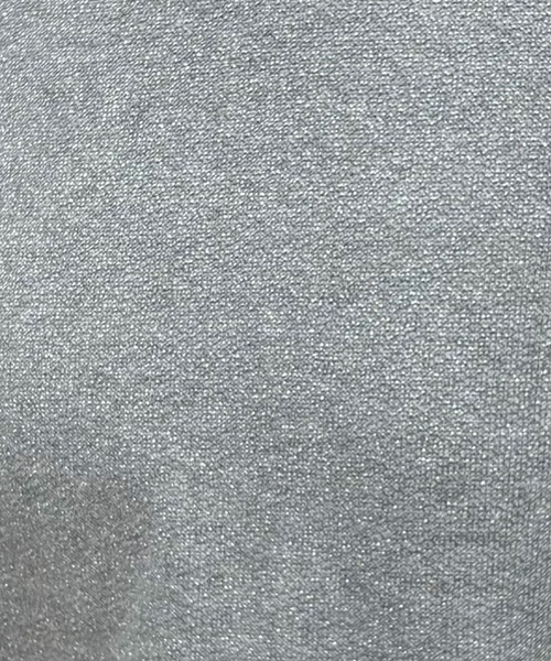 COLLAGE GALLARDAGALANTE（コラージュガリャルダガランテ）の「クロップドラメ裏毛スウェット/WEB限定（Tシャツ/カットソー・レディース・ゴールド/シルバー・FREE）」の4枚目の写真