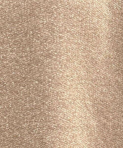 COLLAGE GALLARDAGALANTE（コラージュガリャルダガランテ）の「クロップドラメ裏毛スウェット/WEB限定（Tシャツ/カットソー・レディース・ゴールド/シルバー・FREE）」の3枚目の写真