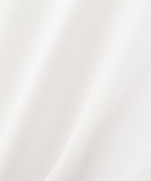 PROPORTION BODY DRESSING(プロポーションボディドレッシング)の「レースラッフルブラウス / 1215110500(シャツ/ブラウス・レディース・ネイビー/ブラウン/ホワイト系その他・FREE)」の17枚目の写真