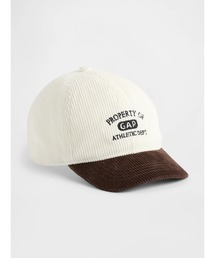 GAP(Mbv)̃R[fC GAPS x[X{[Lbv (LbY)(Lbv)