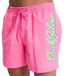 Quiksilver（クイックシルバー）の「QUIKSILVER メンズ EVERYDAY MALIBU VOLLEY 15 ジャムボードショーツ 15インチ インナーショーツ付き (ウエストゴムタイプ) ノンストレッチ・撥水加工 【2026年春夏モデル】/クイックシルバーサーフトランクス・バギーショーツ(水着)（水着）」