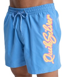 Quiksilver（クイックシルバー）の「QUIKSILVER メンズ EVERYDAY MALIBU VOLLEY 15 ジャムボードショーツ 15インチ インナーショーツ付き (ウエストゴムタイプ) ノンストレッチ・撥水加工 【2026年春夏モデル】/クイックシルバーサーフトランクス・バギーショーツ(水着)（水着）」