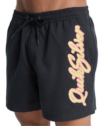 Quiksilver（クイックシルバー）の「QUIKSILVER メンズ EVERYDAY MALIBU VOLLEY 15 ジャムボードショーツ 15インチ インナーショーツ付き (ウエストゴムタイプ) ノンストレッチ・撥水加工 【2026年春夏モデル】/クイックシルバーサーフトランクス・バギーショーツ(水着)（水着）」