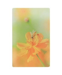 HIGHTIDE（ハイタイド）の「Transparent Photo Bookmark 透明写真栞 しおり ブックマーカー（本）」