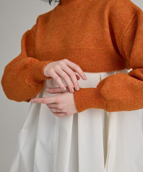 PUBLIC TOKYO（パブリックトウキョウ）の「【洗える】ハイネックマイクロショートニット（ニット/セーター・レディース・オレンジ/その他2/ダークグレー/ミント・FREE）」の12枚目の写真