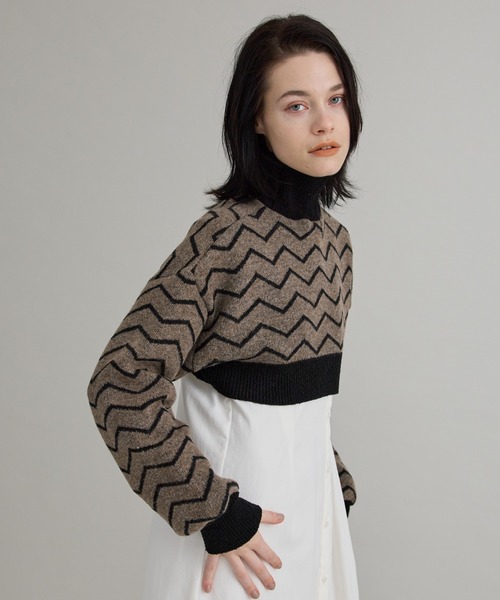 PUBLIC TOKYO（パブリックトウキョウ）の「【洗える】ハイネックマイクロショートニット（ニット/セーター・レディース・オレンジ/その他2/ダークグレー/ミント・FREE）」の19枚目の写真