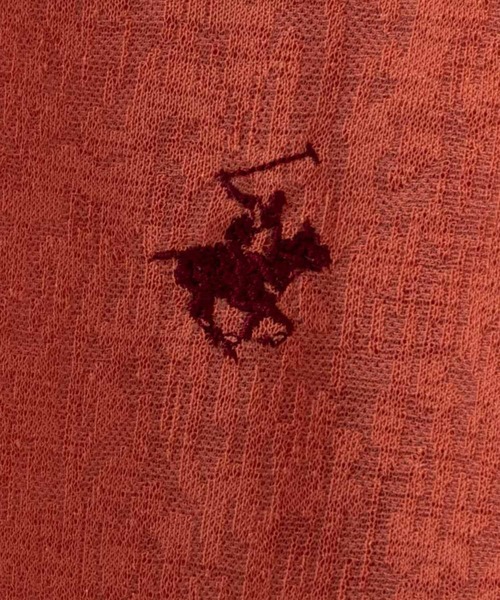 BEVERLY HILLS POLO CLUB(ビバリーヒルズポロクラブ)の「BEVERLY HILLS POLO CLUB ビバリーヒルズポロクラブ リンガー配色シアーTシャツ(Tシャツ/カットソー・レディース・グリーン/オレンジ/サックスブルー/チャコール・L/M)」の8枚目の写真