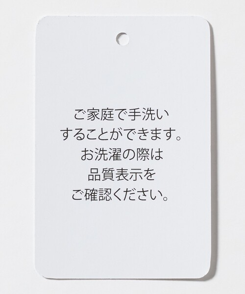 A DAY IN THE LIFE UNITED ARROWS(アデイインザライフユナイテッドアローズ)の「ツイル ノーカラー ブルゾン ‐ウォッシャブル‐<A DAY IN THE LIFE>(ブルゾン・レディース・ベージュ/ダークグレー・FREE)」の22枚目の写真