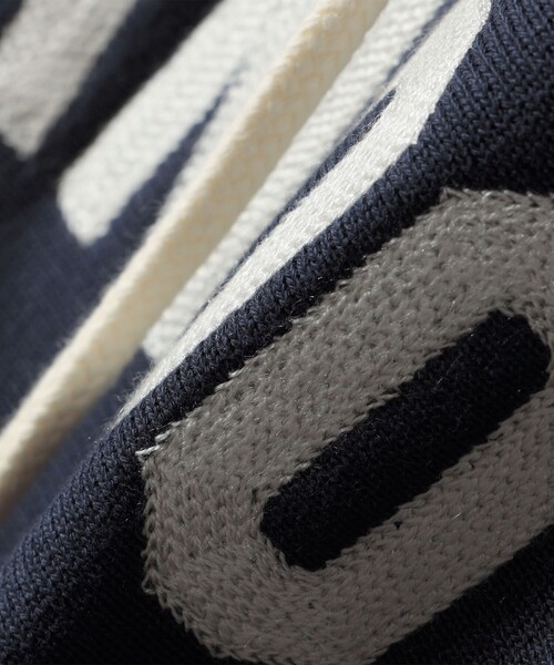 Champion(チャンピオン)の「Champion:〈洗濯機可能〉リバースウィーブ(R) 裏起毛 フーディー パーカー(パーカー・レディース・ネイビー/ブラウン/ライトグレー・ONE SIZE)」の8枚目の写真
