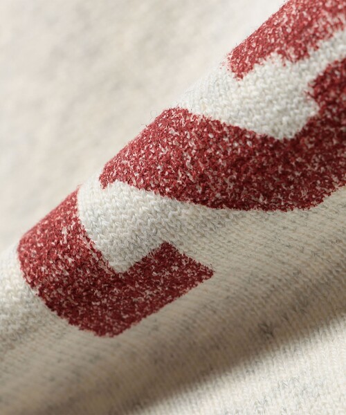 Champion(チャンピオン)の「Champion:〈洗濯機可能〉リバースウィーブ(R) 裏起毛 フーディー パーカー(パーカー・レディース・ネイビー/ブラウン/ライトグレー・ONE SIZE)」の9枚目の写真