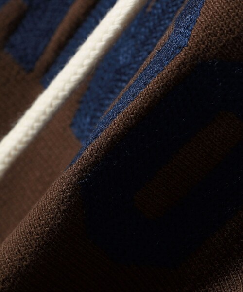 Champion(チャンピオン)の「Champion:〈洗濯機可能〉リバースウィーブ(R) 裏起毛 フーディー パーカー(パーカー・レディース・ネイビー/ブラウン/ライトグレー・ONE SIZE)」の10枚目の写真