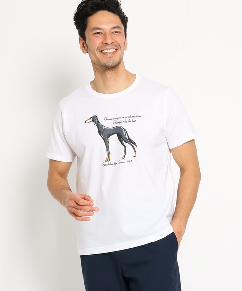 セール 吸水速乾 Uvカット サルーキデザインtシャツ メンズ T