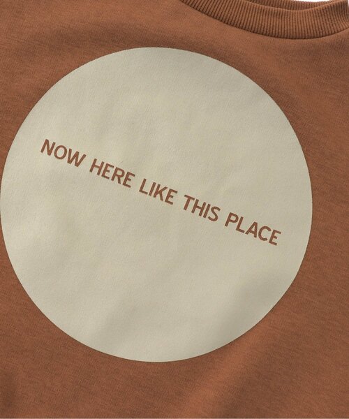 BREEZE(ブリーズ)の「WEB限定 袖ロゴトレーナー_裏シャギー(スウェット・キッズ・グリーン/ブラウン/ネイビー/ブラック・110/120/90/130/140/100/80)」の12枚目の写真