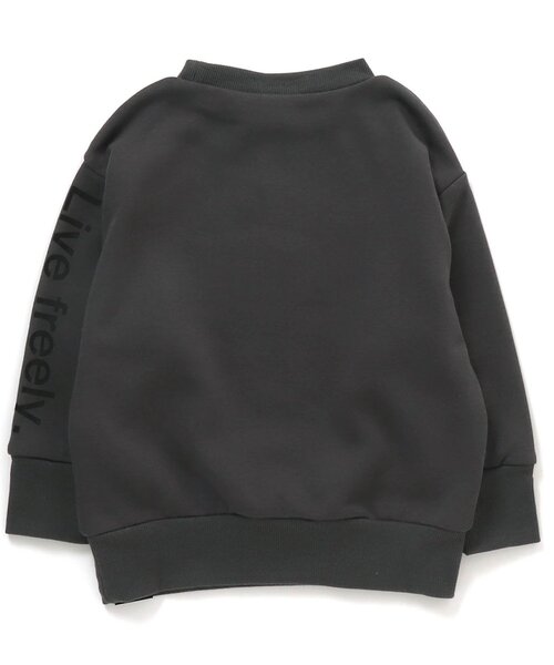 BREEZE(ブリーズ)の「WEB限定 袖ロゴトレーナー_裏シャギー(スウェット・キッズ・グリーン/ブラウン/ネイビー/ブラック・110/120/90/130/140/100/80)」の19枚目の写真