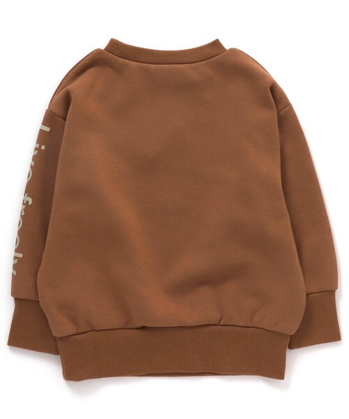 BREEZE(ブリーズ)の「WEB限定 袖ロゴトレーナー_裏シャギー(スウェット・キッズ・グリーン/ブラウン/ネイビー/ブラック・110/120/90/130/140/100/80)」の20枚目の写真