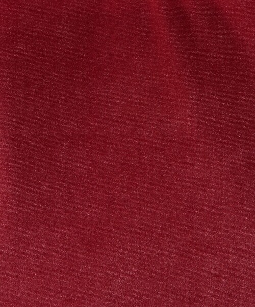 Steven Alan（スティーブンアラン）の「＜Steven Alan＞ベロア トートバッグ ラージ（トートバッグ・レディース・レッド/ブラック/ライトグレー/ネイビー・FREE）」の15枚目の写真