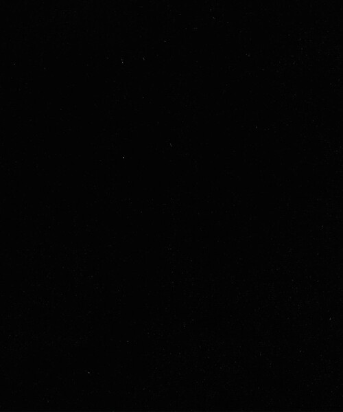 Steven Alan（スティーブンアラン）の「＜Steven Alan＞ベロア トートバッグ ラージ（トートバッグ・レディース・レッド/ブラック/ライトグレー/ネイビー・FREE）」の21枚目の写真