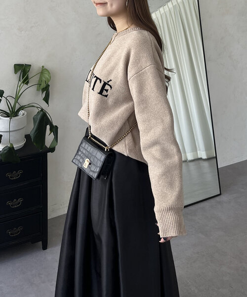 prose verse(プロズヴェール)の「ジャガードロゴニット(ニット/セーター・レディース・ブラック/ベージュ・LARGE/MEDIUM)」の18枚目の写真