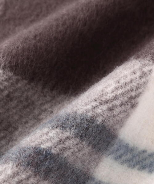 N.（N. Natural Beauty Basic）（エヌエヌナチュラルビューティーベーシック）の「◆フリンジチェックストール（ストール/ショール・レディース・ブルー系その他/ブラウン系その他・ﾌﾘ-）」の17枚目の写真