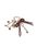 LILY BROWNi[uEj́u2wayj[n[gL[`[iL[P[X/L[ANZT[jvbbh