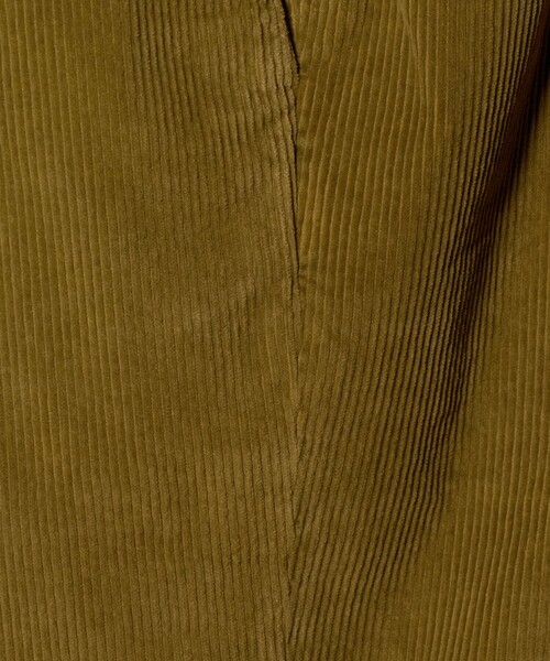 CELLAR DOOR(セラドール)の「<Cellar Door>ALFRED コーデュロイ 1プリーツ パンツ(その他パンツ・メンズ・ネイビー/マスタード・46/48/44/50)」の19枚目の写真