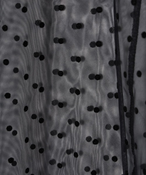 ANDRESD（アンドレスド）の「ドットシアートップス / dot sheer tops（シャツ/ブラウス・レディース・ベージュ×ブラック/ブラック/ベージュ・M/S）」の10枚目の写真