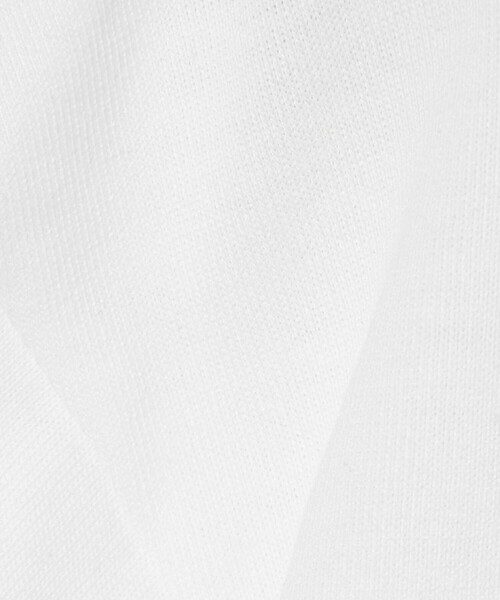 THE NORTH FACE(ザノースフェイス)の「<THE NORTH FACE> ショートスリーブ ヒストリカル ロゴ Tシャツ(Tシャツ/カットソー・メンズ・ホワイト/ライトグレー/ブラック/ネイビー・M/XL/L)」の10枚目の写真