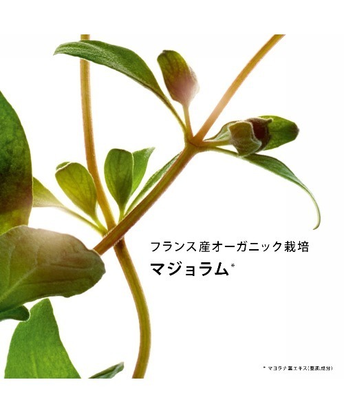 CLARINS(クラランス)の「ダブル セーラム アイ ADC(美容液/オイル/クリーム・メンズ・その他・FREE)」の8枚目の写真