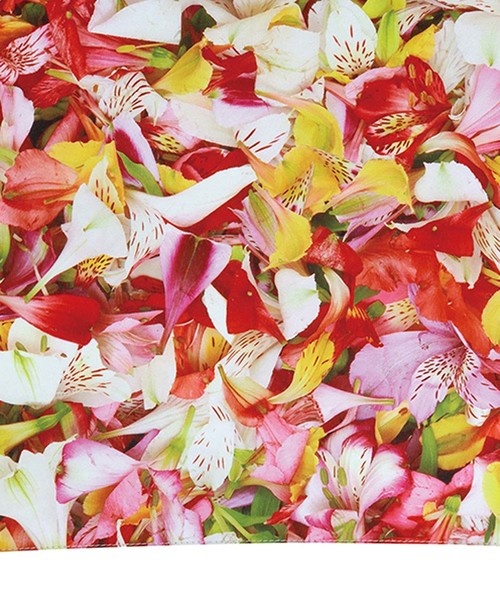 Wpc.（ダブリュピーシー）の「plantica×Wpc. フラワーアンブレラ ロング（長傘・レディース・ブラック/ネイビー/ピンク/オレンジ/ブルー/ブラック系その他・FREE）」の19枚目の写真