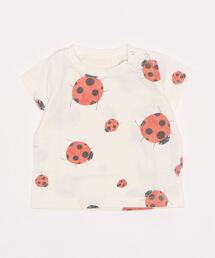 抗ウイルス・抗菌・防汚・消臭ランダムてんとうむしちゃんTシャツ