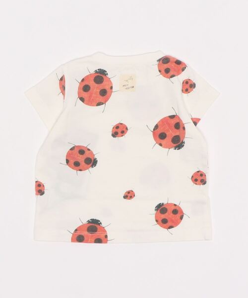 INSECT COLLECTION（インセクトコレクション）の「抗ウイルス・抗菌・防汚・消臭ランダムてんとうむしちゃんTシャツ（Tシャツ/カットソー・キッズ・オフホワイト・S/XL/L/M）」の2枚目の写真