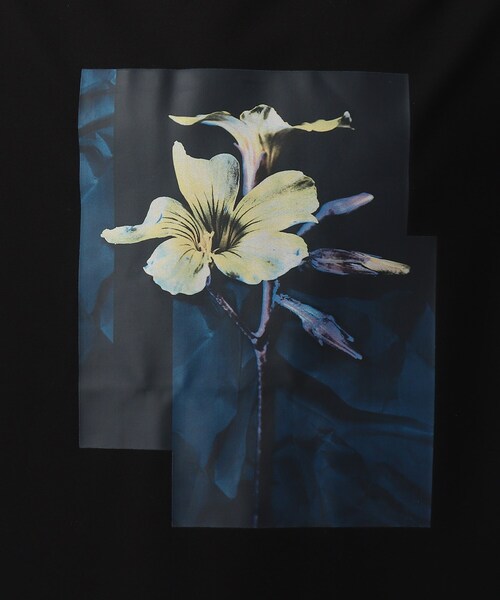 tk.TAKEO KIKUCHI(ティーケータケオキクチ)の「◆ダークフラワーロンT(Tシャツ/カットソー・メンズ・オフホワイト/ブラック/ボルドー・02/03)」の20枚目の写真