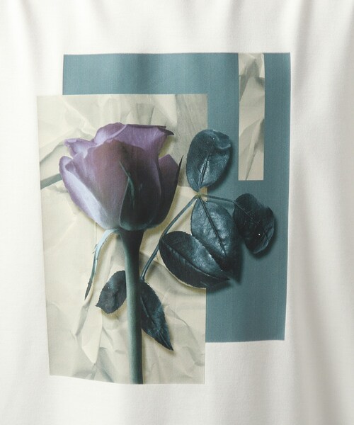 tk.TAKEO KIKUCHI(ティーケータケオキクチ)の「◆ダークフラワーロンT(Tシャツ/カットソー・メンズ・オフホワイト/ブラック/ボルドー・02/03)」の22枚目の写真