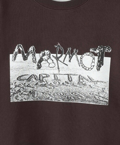 MARMOT CAPITAL（マーモットキャピタル）の「＜MARMOT CAPITAL＞DRIFTWOOD クルーネック スウェット（スウェット・レディース・グレー/ブラウン・S）」の21枚目の写真