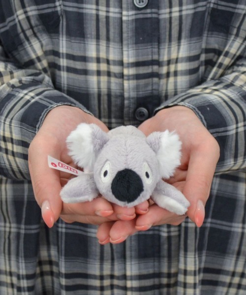 NICI/MN WF25 コアラ バリー 12cm（ステーショナリー）｜nici（ニキ