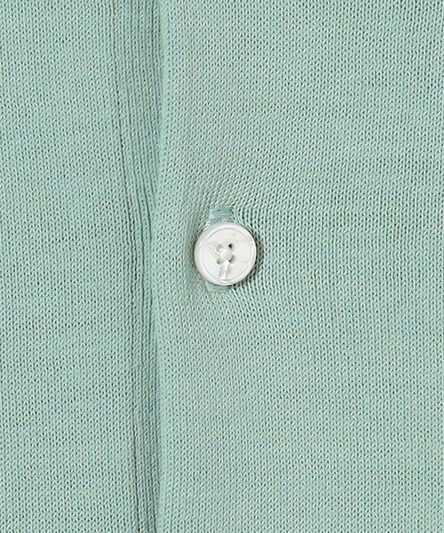 SOVEREIGN（ソブリン）の「＜SOVEREIGN＞ ハイツイスト コットン ニットポロシャツ（ポロシャツ・メンズ・ライム/オレンジ系その他/ブラック・M/L）」の20枚目の写真