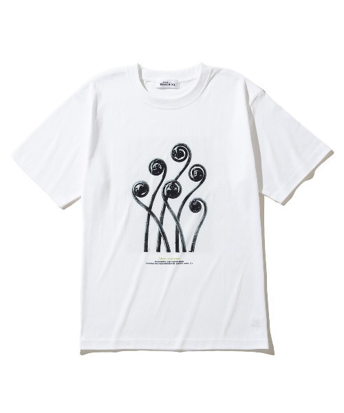 Kinetics(キネティクス)の「Kinetics WOMEN Adiantum pedatum(キネティクスウィメン アジアンタム ペダツム)(Tシャツ/カットソー・レディース・ホワイト・MEDIUM)」の1枚目の写真