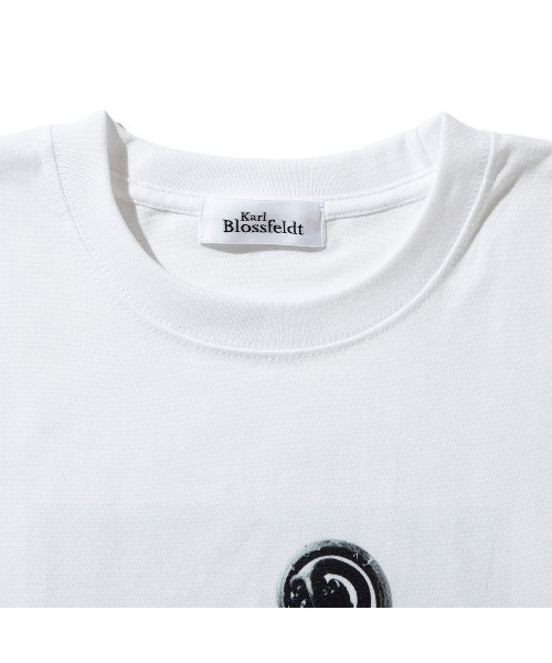 Kinetics(キネティクス)の「Kinetics WOMEN Adiantum pedatum(キネティクスウィメン アジアンタム ペダツム)(Tシャツ/カットソー・レディース・ホワイト・MEDIUM)」の3枚目の写真