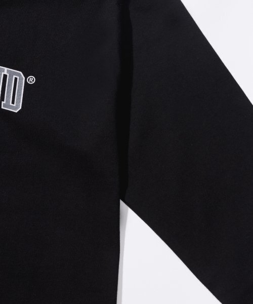 TEDDYISLAND(テディアイランド)の「アーチロゴ長袖ブラック(Tシャツ/カットソー・メンズ・その他・MEDIUM/LARGE)」の4枚目の写真