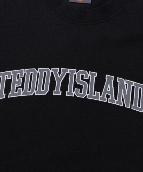 TEDDYISLAND(テディアイランド)の「アーチロゴ長袖ブラック(Tシャツ/カットソー・メンズ・その他・MEDIUM/LARGE)」の5枚目の写真