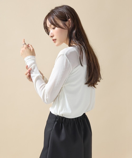 en CAnAF(エンカナフ)の「【華やかなドットが映える】フロッキードットシアークルーネックプルオーバー(Tシャツ/カットソー・レディース・ブラック/ホワイト/チャコールグレー・フリー)」の18枚目の写真