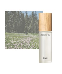 BAUM（バウム）の「ＢＡＵＭ　アロマティック　ルームスプレー（ルームフレグランス/お香）」