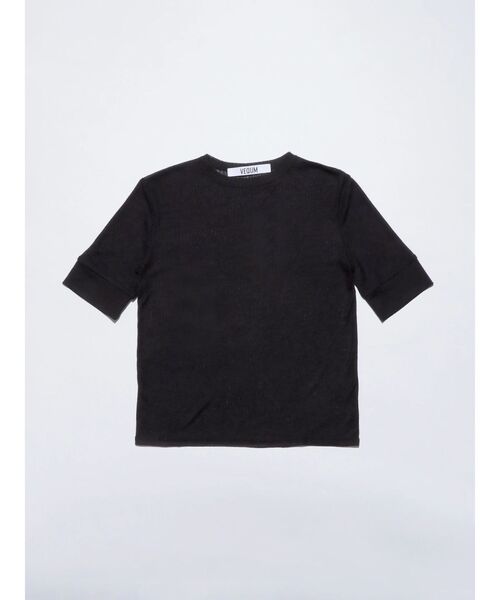 VEQUM（VEQUM）の「【VEQUM】SHEER COMPACT TSHIRT（Tシャツ/カットソー・レディース・ブルー/ホワイト/オレンジ/ブラック・FREE）」の15枚目の写真