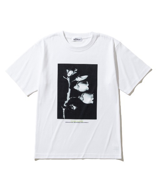Kinetics(キネティクス)の「Kinetics WOMEN Vaccinium corymbosum(キネティクスウィメン バクシニウム コリボーサム)(Tシャツ/カットソー・レディース・ホワイト・MEDIUM)」の1枚目の写真