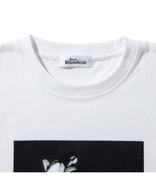 Kinetics(キネティクス)の「Kinetics WOMEN Vaccinium corymbosum(キネティクスウィメン バクシニウム コリボーサム)(Tシャツ/カットソー・レディース・ホワイト・MEDIUM)」の3枚目の写真