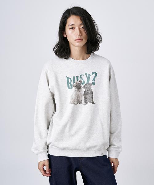 B.C STOCK（ベーセーストック）の「《追加》NEW ドッグ＆キャット柄 アソートクルーネックスウェット（スウェット・メンズ・ホワイト/ホワイト系その他/ブラウン/ネイビー/チャコールグレー・MEDIUM/LARGE）」の15枚目の写真